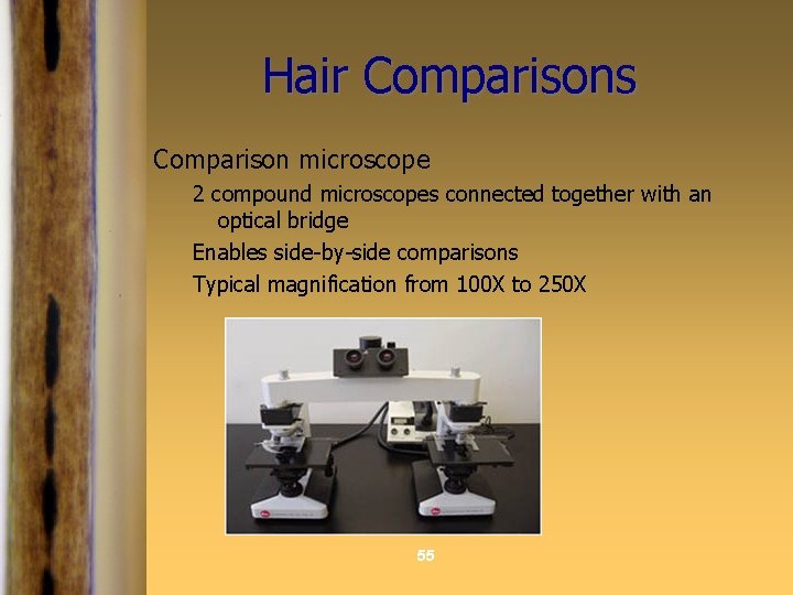 Hair Comparisons Comparison microscope 2 compound microscopes connected together with an optical bridge Enables