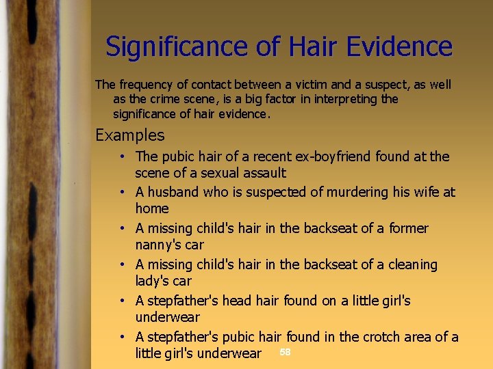 Significance of Hair Evidence The frequency of contact between a victim and a suspect,