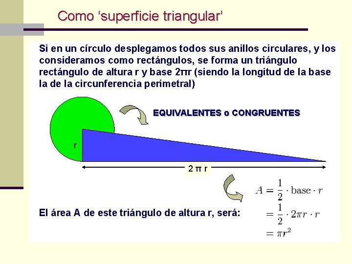 Como ‘superficie triangular’ Si en un círculo desplegamos todos sus anillos circulares, y los