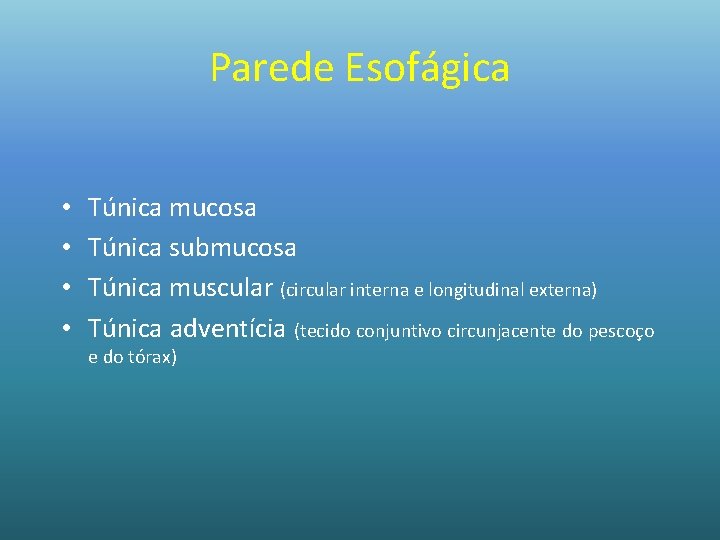 Parede Esofágica • • Túnica mucosa Túnica submucosa Túnica muscular (circular interna e longitudinal