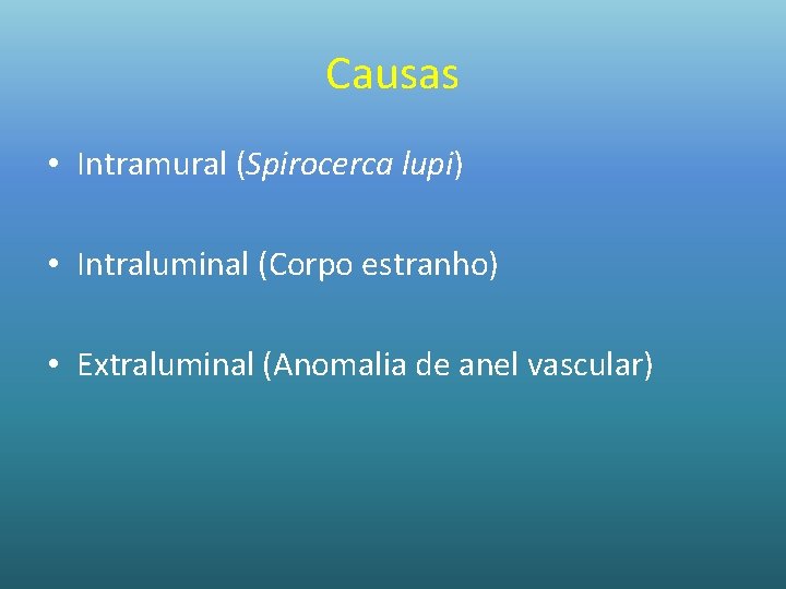 Causas • Intramural (Spirocerca lupi) • Intraluminal (Corpo estranho) • Extraluminal (Anomalia de anel