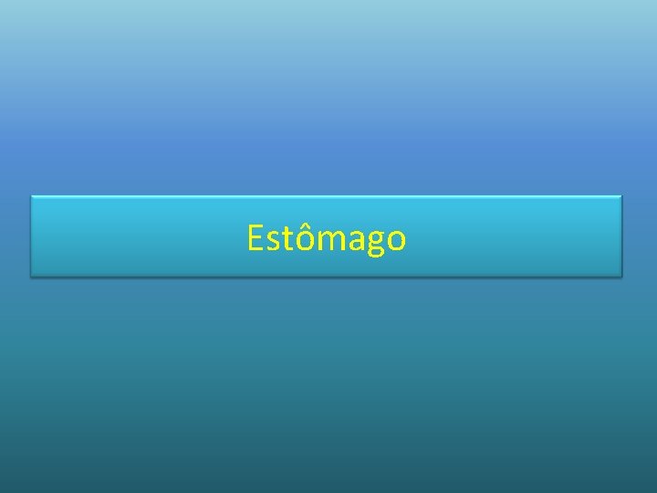 Estômago 
