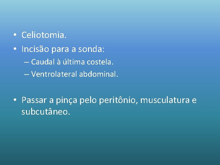  • Celiotomia. • Incisão para a sonda: – Caudal à última costela. –