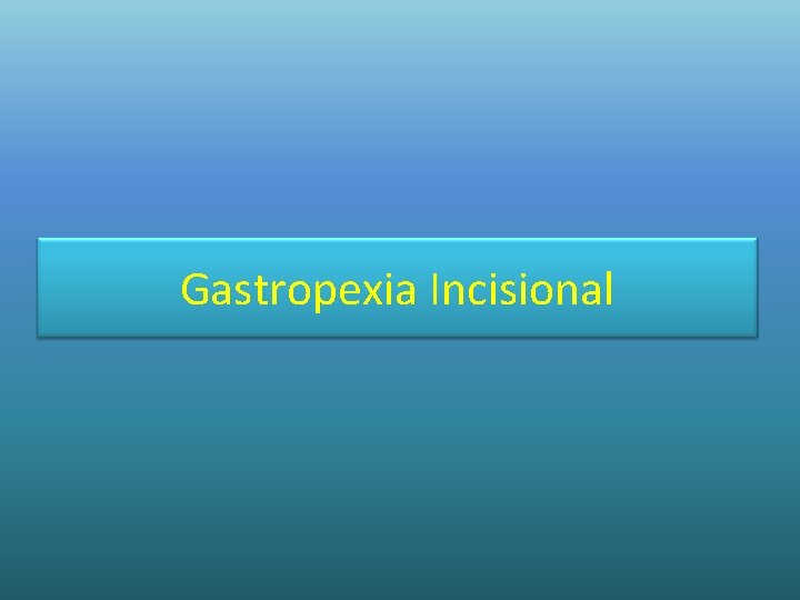 Gastropexia Incisional 