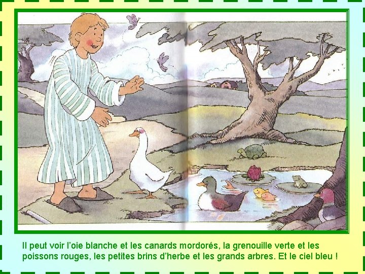 Il peut voir l’oie blanche et les canards mordorés, la grenouille verte et les Il peut voir l’oie blanche et les canards mordorés, la grenouille verte et les