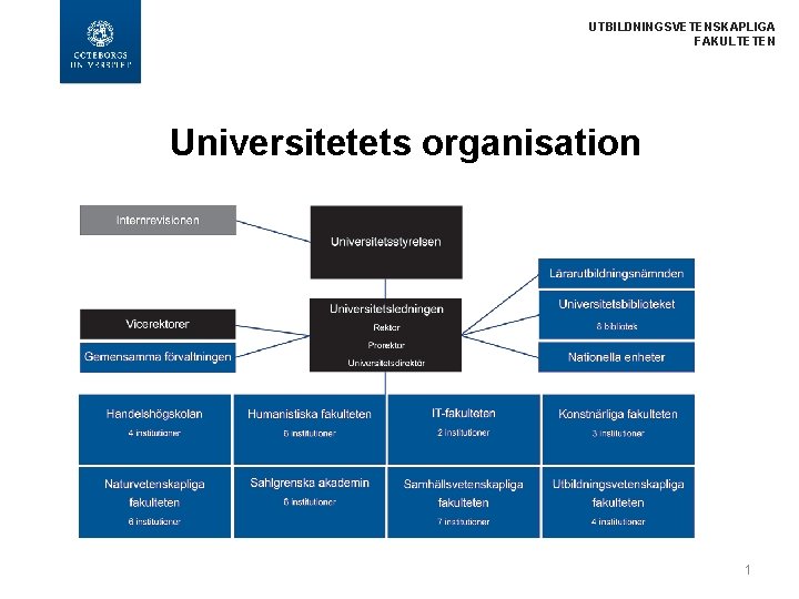  UTBILDNINGSVETENSKAPLIGA FAKULTETEN Universitetets organisation 1 