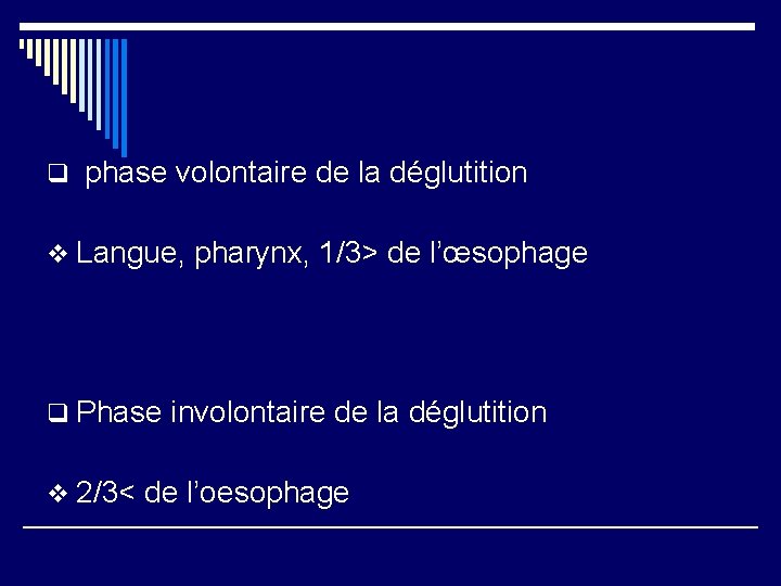 q phase volontaire de la déglutition v Langue, pharynx, 1/3> de l’œsophage q Phase