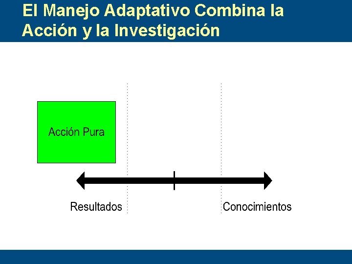 El Manejo Adaptativo Combina la Acción y la Investigación 