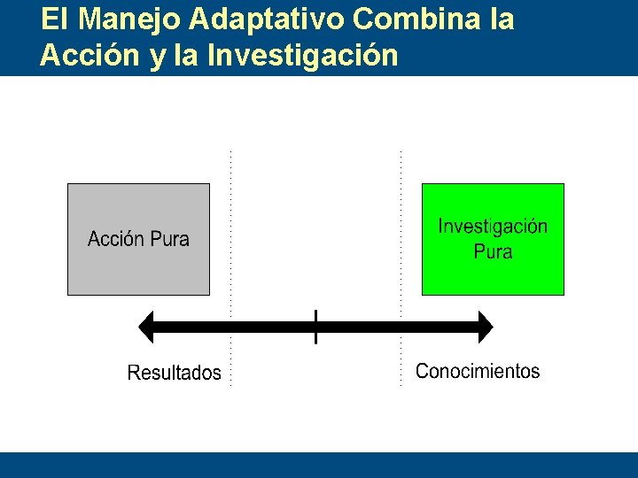 El Manejo Adaptativo Combina la Acción y la Investigación 