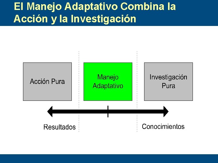 El Manejo Adaptativo Combina la Acción y la Investigación 