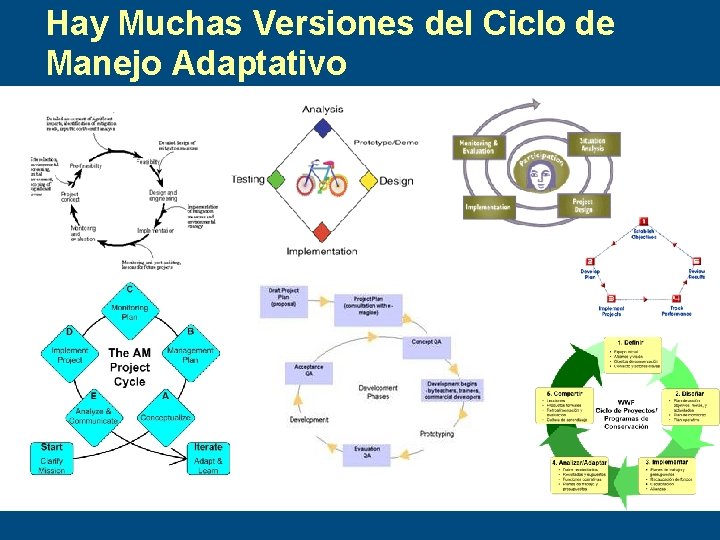 Hay Muchas Versiones del Ciclo de Manejo Adaptativo 