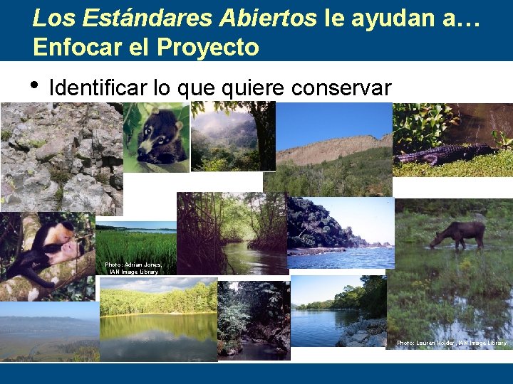 Los Estándares Abiertos le ayudan a… Enfocar el Proyecto • Identificar lo que quiere