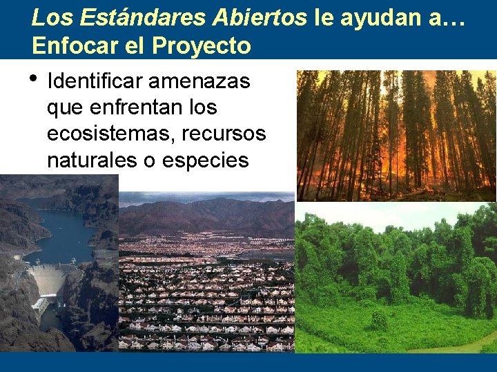 Los Estándares Abiertos le ayudan a… Enfocar el Proyecto • Identificar amenazas que enfrentan