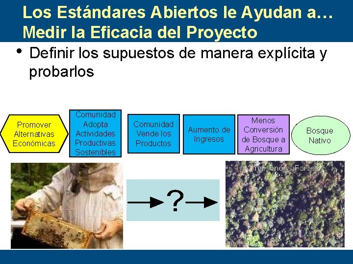 Los Estándares Abiertos le Ayudan a… Medir la Eficacia del Proyecto • Definir los
