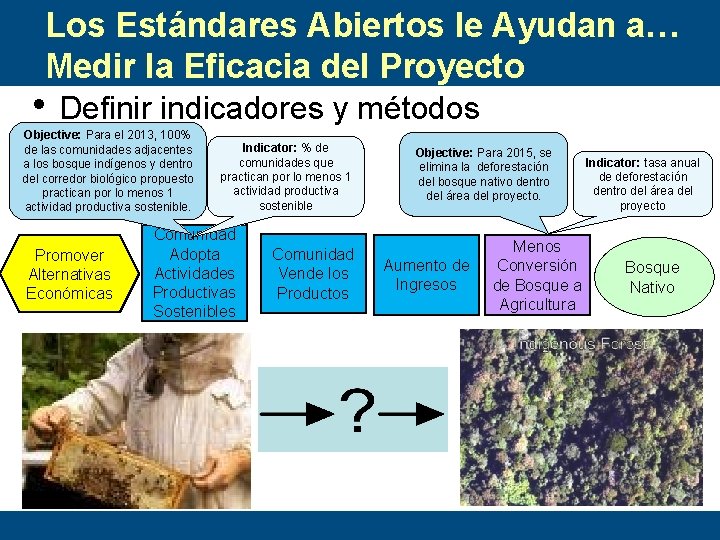 Los Estándares Abiertos le Ayudan a… Medir la Eficacia del Proyecto • Definir indicadores