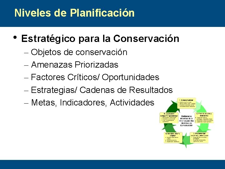 Niveles de Planificación • Estratégico para la Conservación – Objetos de conservación – Amenazas