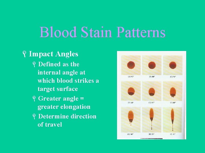 Blood Stain Patterns LImpact Angles LDefined as the internal angle at which blood strikes