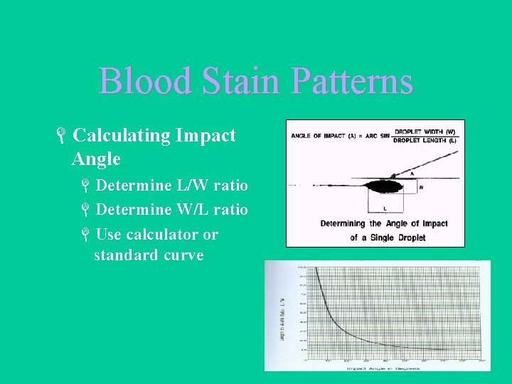 Blood Stain Patterns LCalculating Impact Angle LDetermine L/W ratio LDetermine W/L ratio LUse calculator