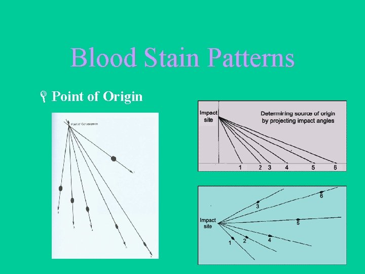 Blood Stain Patterns LPoint of Origin 