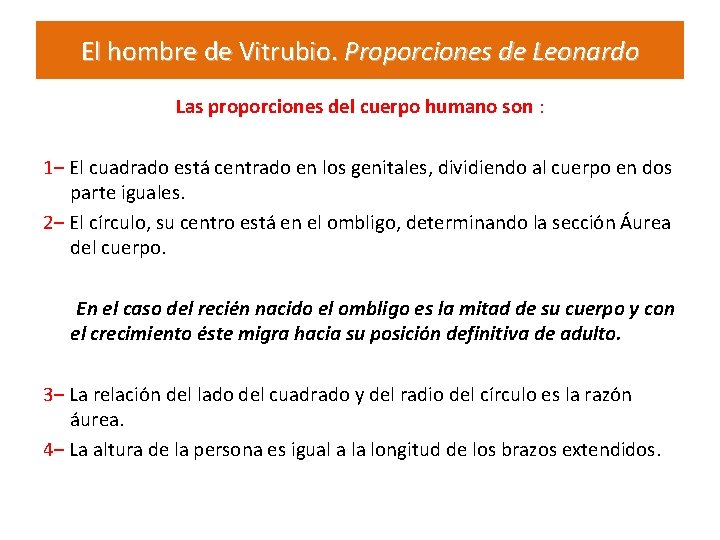 El hombre de Vitrubio. Proporciones de Leonardo Las proporciones del cuerpo humano son :