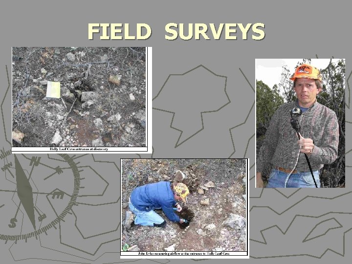 FIELD SURVEYS 