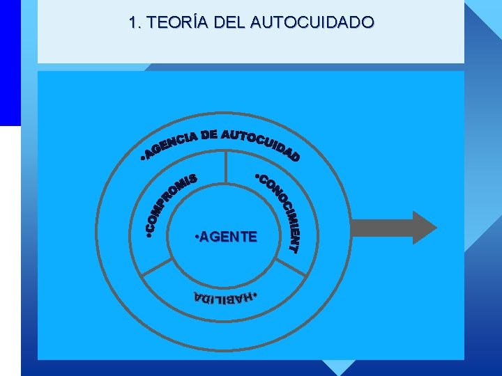 1. TEORÍA DEL AUTOCUIDADO • AGENTE 