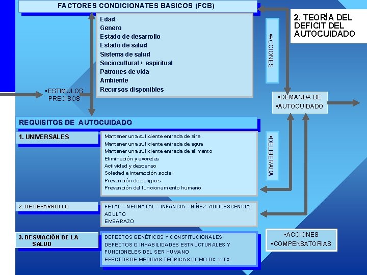 FACTORES CONDICIONATES BASICOS (FCB) • ACCIONES • ESTIMULOS PRECISOS Edad Genero Estado de desarrollo