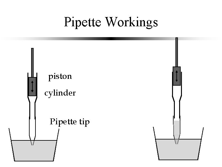 Pipette Workings piston cylinder Pipette tip 