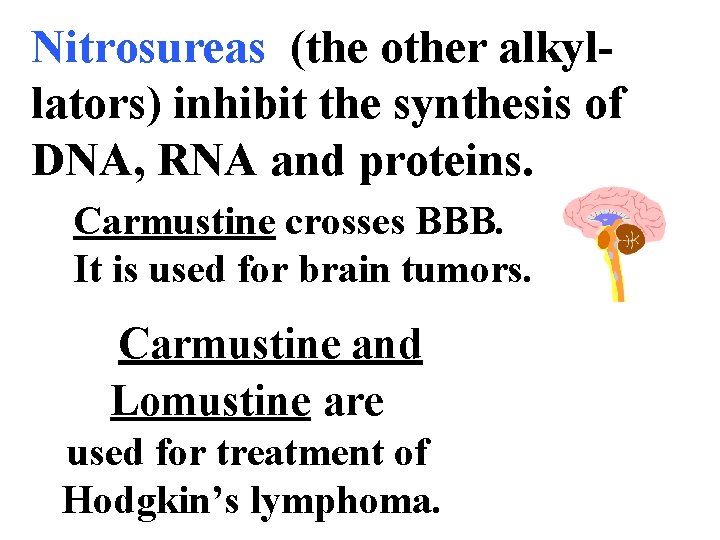 Nitrosureas (the other alkyllators) inhibit the synthesis of DNA, RNA and proteins. Carmustine crosses