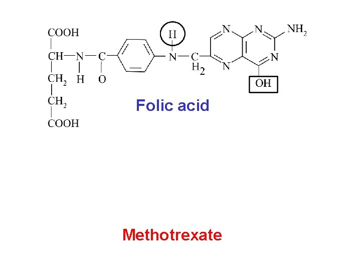 Folic acid Methotrexate 