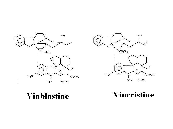 Vinblastine Vincristine 