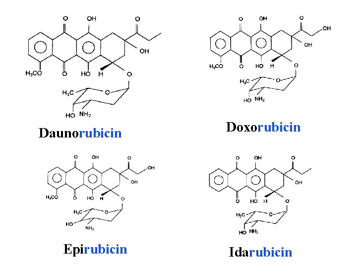 Daunorubicin Epirubicin Doxorubicin Idarubicin 