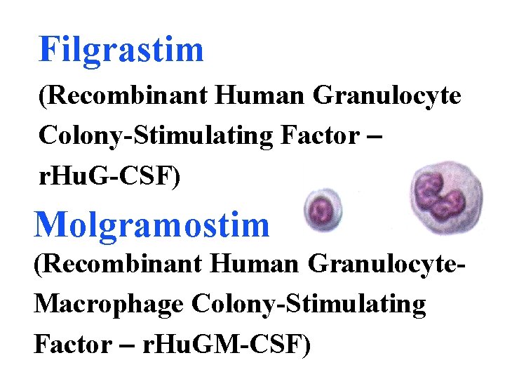 Filgrastim (Recombinant Human Granulocyte Colony-Stimulating Factor r. Hu. G-CSF) Molgramostim (Recombinant Human Granulocyte. Macrophage