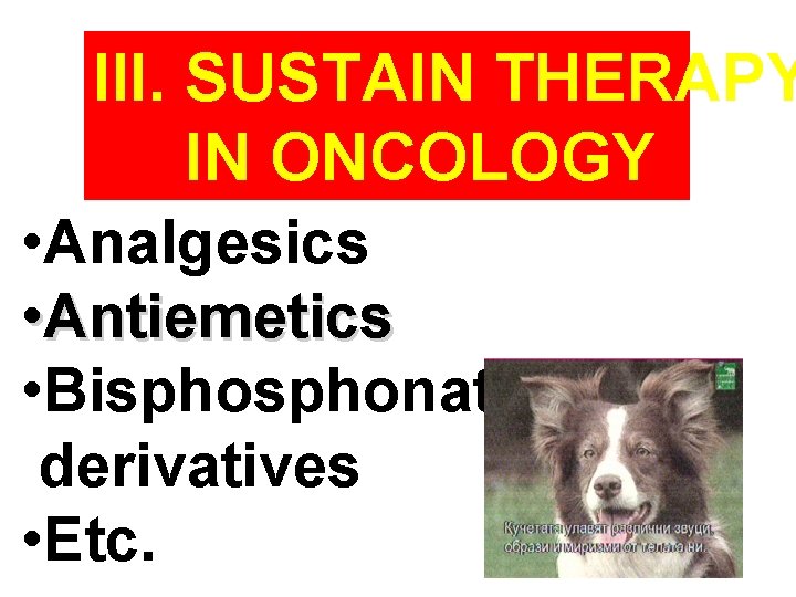 III. SUSTAIN THERAPY IN ONCOLOGY • Analgesics • Antiemetics • Bisphonate derivatives • Etc.