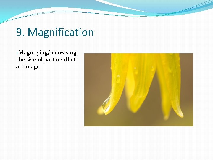 9. Magnification -Magnifying/increasing the size of part or all of an image 9. Magnification -Magnifying/increasing the size of part or all of an image