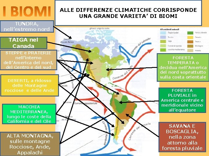 ALLE DIFFERENZE CLIMATICHE CORRISPONDE UNA GRANDE VARIETA’ DI BIOMI TUNDRA, nell’estremo nord TAIGA nel