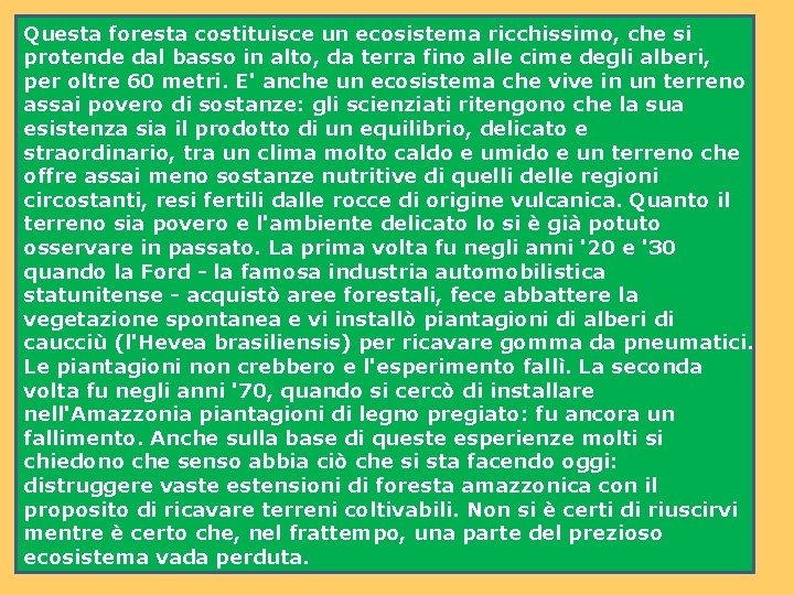 Questa foresta costituisce un ecosistema ricchissimo, che si protende dal basso in alto, da