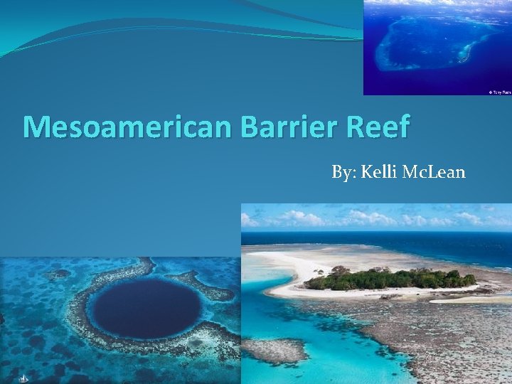 Mesoamerican Barrier Reef By: Kelli Mc. Lean 