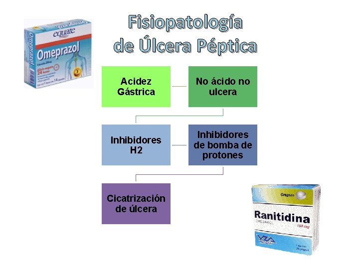 Fisiopatología de Úlcera Péptica Acidez Gástrica No ácido no ulcera Inhibidores H 2 Inhibidores