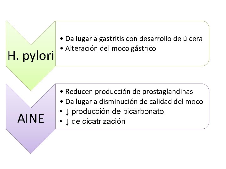 H. pylori AINE • Da lugar a gastritis con desarrollo de úlcera • Alteración