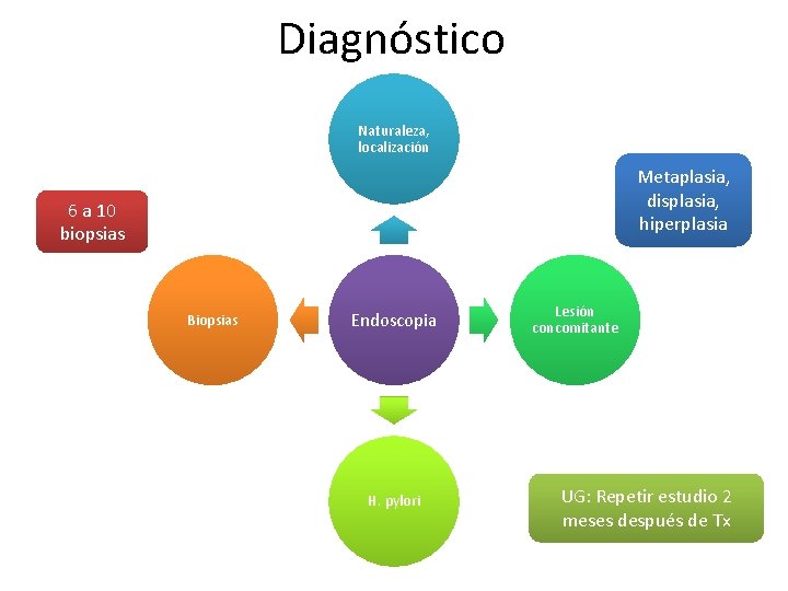 Diagnóstico Naturaleza, localización Metaplasia, displasia, hiperplasia 6 a 10 biopsias Biopsias Endoscopia H. pylori