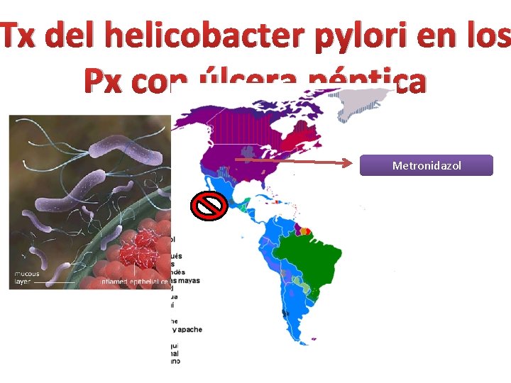 Tx del helicobacter pylori en los Px con úlcera péptica Metronidazol 