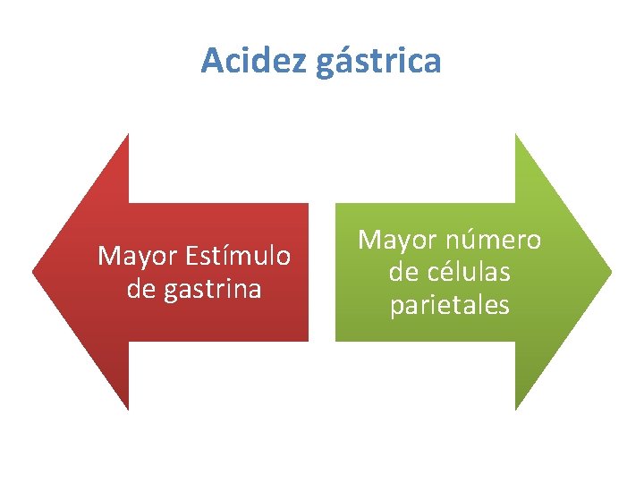 Acidez gástrica Mayor Estímulo de gastrina Mayor número de células parietales 