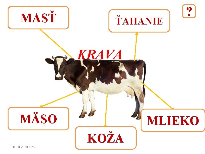 MASŤ ŤAHANIE ? KRAVA MÄSO 31. 10. 2020 3: 26 MLIEKO KOŽA 