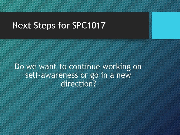 Next Steps for SPC 1017 Do we want to continue working on self-awareness or