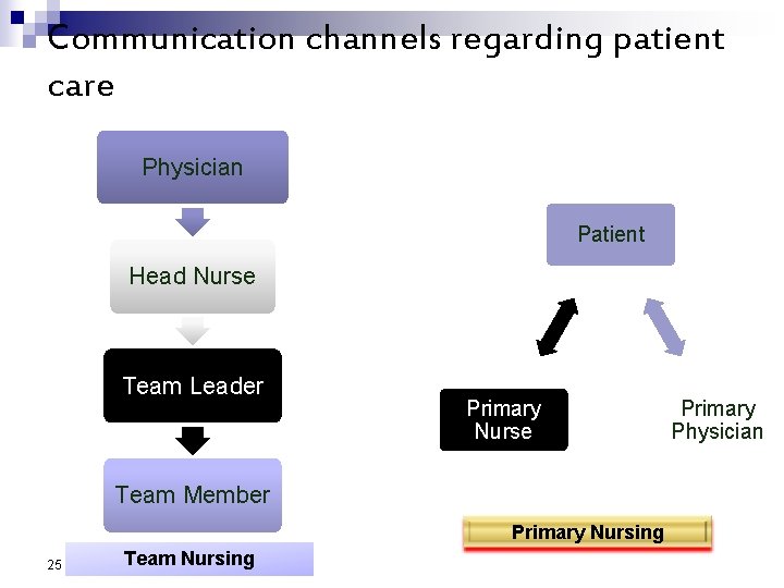 Communication channels regarding patient care Physician Patient Head Nurse Team Leader Primary Nurse Team Communication channels regarding patient care Physician Patient Head Nurse Team Leader Primary Nurse Team