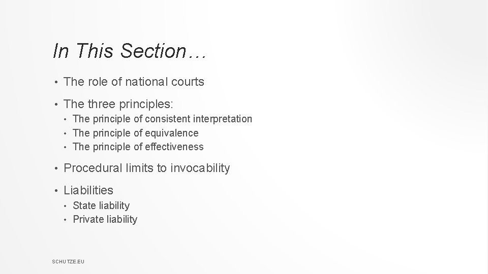 In This Section… • The role of national courts • The three principles: The