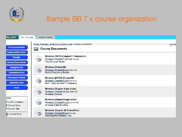 Sample BB 7. x course organization 