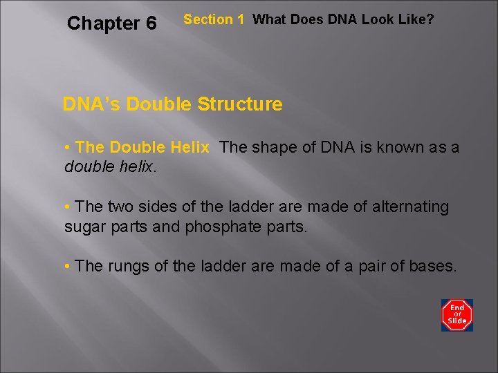 chapter 6 genes and dna table of contents