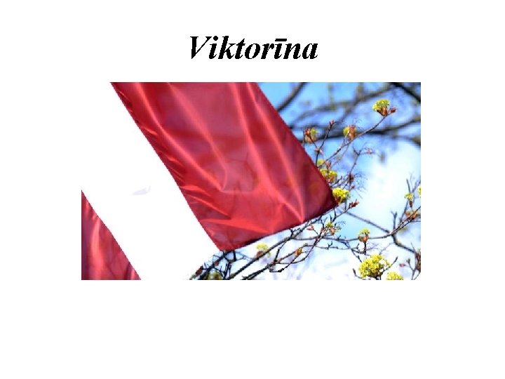 Viktorīna 